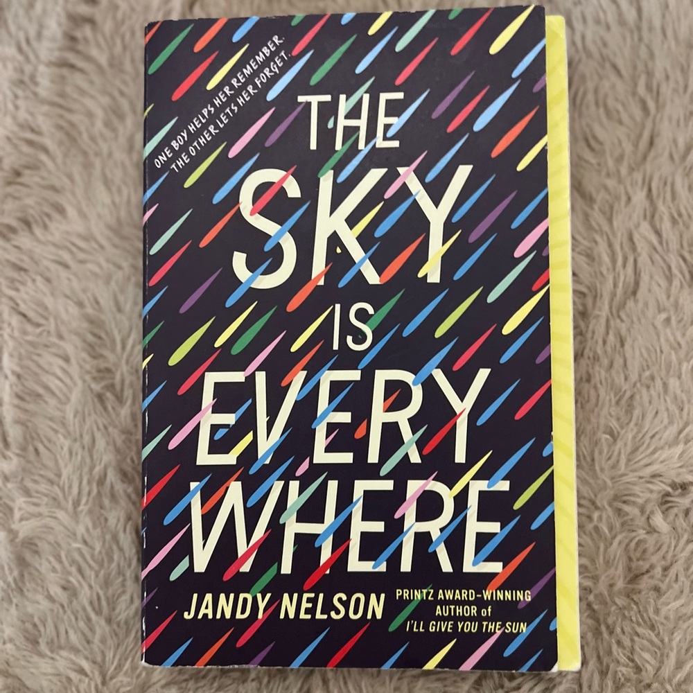 📚BUY 2 GET‎ 1 FREE The Sky Is Everywhere by Jandy Nelson